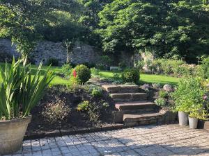 Beautiful renovated stone house for Dog friendly, Quayside location