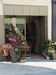 T5 Hyper center lumineux et cosy