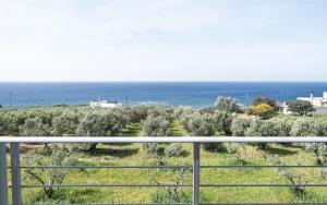 View West Elafonisi house