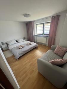 Apartament Koninki