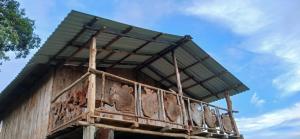 cabaña familiar, pareja, campin