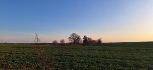 Ferienwohnung am Waldrand