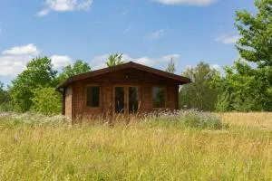 Ganu Namiņš - Grūži