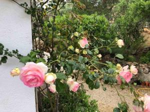 Villas Athena : photos des chambres