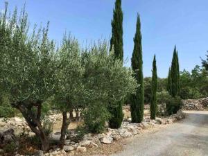 Villas Athena : photos des chambres