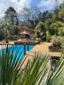 Appart'hotels La Maison Du Soleil : photos des chambres