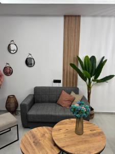 Meraki Apartment