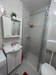 Apartments Vanja