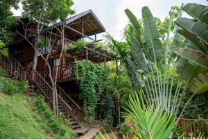 Le Paradis Bleu Palomino