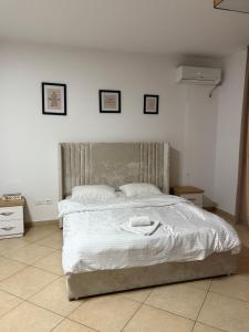 Tirana near city Central Zogu i Zi