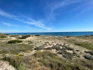 lu Jentu - Monacizzo