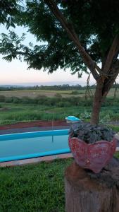 Acomodação do Viveiro Bela Flor