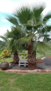 Acomodação do Viveiro Bela Flor