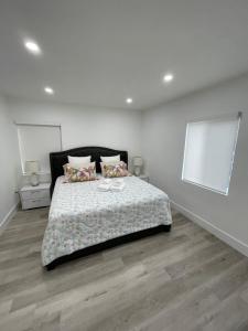 Beautiful House in Coral Gables FL