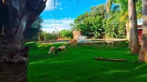 Pousada Café da Roça - Areado