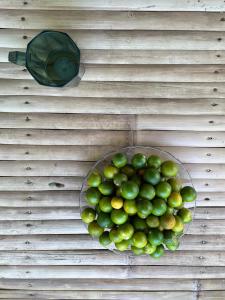 Calamansi Garden Tropical Home