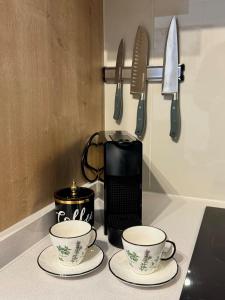 Tu refugio de lujo en Santiago Climatizado