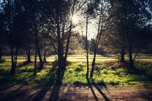 A due passi dal mare img15