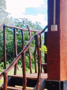 The rock & wild sigiriya