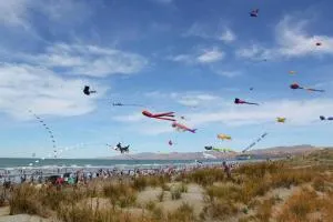 Christchurch Backpackers and Cafe - Springfield