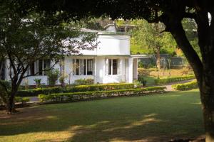 Fortuna Heritage Home