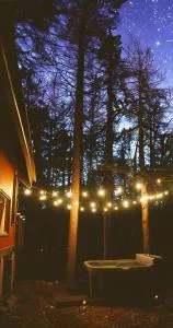 ADK Forest Cabin near Lake Placid with Hot Tub and Ice Bath - Jay