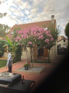 Appartements Residence Soleil : photos des chambres