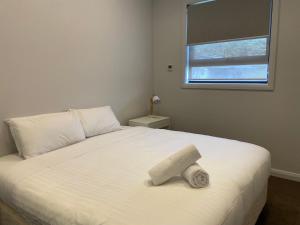 Blues Air 3 - Thredbo