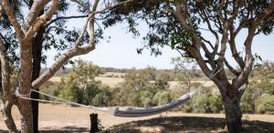 Sanctuary by Sirromet