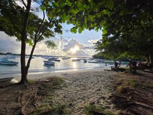 Your cosy apartment in the heart of Grand Baie