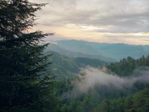 Sunrise Homestay