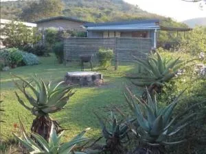 Cumberland Nature Reserve - Albert Falls
