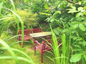 NEU! Landhaus Ilona - Ferienwohnung