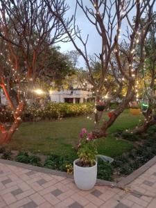 Udita Homestay Prayas