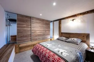 Le petit érable - Vue Mont Blanc - Villard-sur-Doron