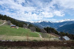 Appartements Le petit erable - Vue Mont Blanc : Studio Supérieur