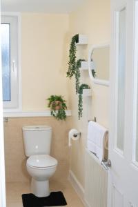 Beautify Refurbished Large 3 Bed Terrace