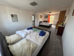 Domov pro 8 hostů ve městě Karlovy Vary