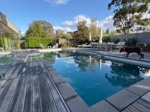 South Beach Beauty - Tyabb