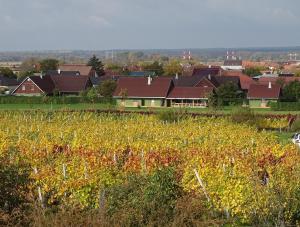 Ubytování Pod Vápenkami