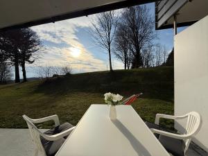 FeWo Pool, Sauna, Wellness, Gartenterrasse ENGELMEER