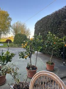 Agriturismo Corte Matiola