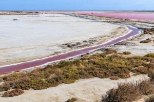 Maisons d'hotes Nuits Salines Salin de Giraud : photos des chambres