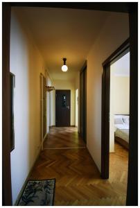 Color 24 - Złoty Punkt