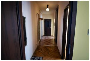 Color 24 - Złoty Punkt