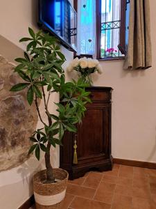 Nel vicolo dei Baci - Casa vacanze al Bacio