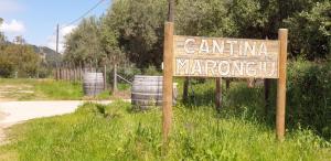 Cantina Marongiu img1
