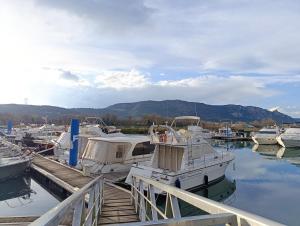 Evasion Romantique sur le Rhône