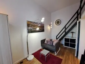 Studio cosy entièrement rénové à deux pas de Lyon - 荷里尤