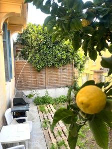 3-pieces Flat with Private Garden & BBQ